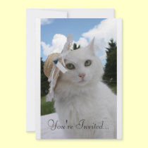 Cat and the Hat invitations