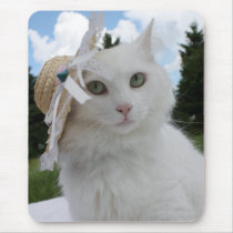Cat and the Hat mousepads