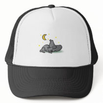 Cat and Witches Hat Halloween design