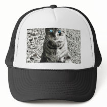 Cat Animal Pet hats by lifesphere Cat Animal Pet hats