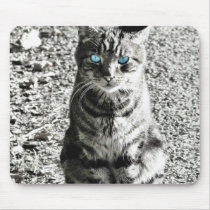 Cat Animal Pet Mousepads