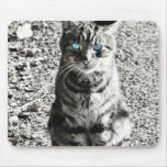 Cat Animal Pet Mousepads