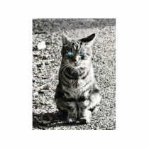 Cat Animal Pet photo sculptures
