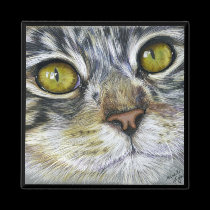 Cat Art - Blink magnets