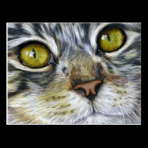 Cat Art - Blink postcards