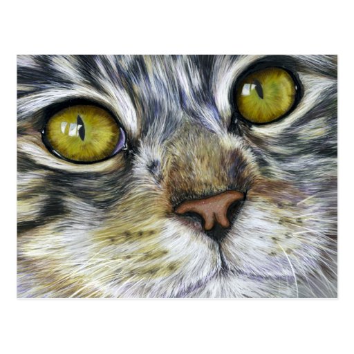 Cat Art - Blink Post Cards