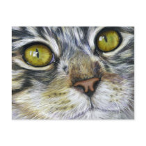 Cat Art - Blink Postcards