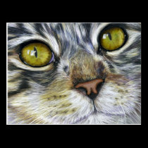 Cat Art - Blink postcards