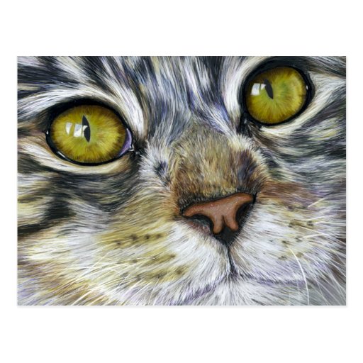Cat Art - Blink Postcards