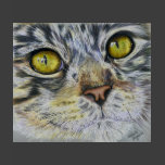 Cat Art - Blink Shirts
