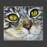 Cat Art - Blink Tee Shirt