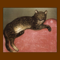 Cat Art Poster/Print: Stretched Cat by Steinlen posters