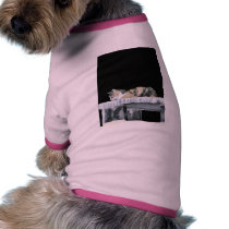 Cat At Night pet clothing by lifesphere Cat At Night pet clothing