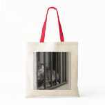 Cat at Window Canvas Bag