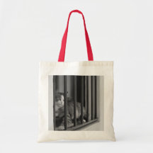 Cat at Window Canvas Bag