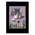 Cat at Window cards