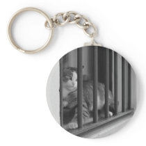 Cat at Window Keychains