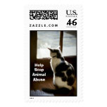 Cat at window postage