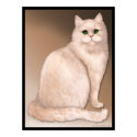 Cat Attitude posters