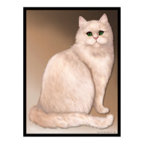 Cat Attitude posters