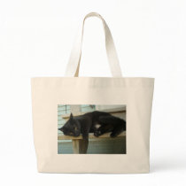 Cat bags