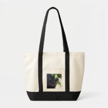 Cat Bag