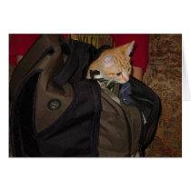 Cat bag cards by cooljman Cat bag cards