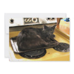 Cat Baked Personalized Invite
