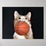Cat basketball posters