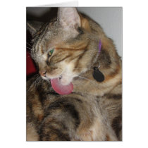 Cat Bath cards by DonnaGrayson Cat Bath cards