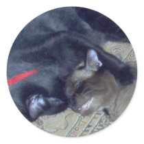 Cat Bath stickers