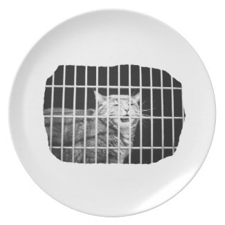 Cat behind bars with mouth open mean kitty plate