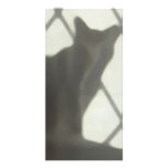 Cat behind curtain photo card template