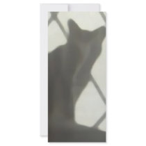 Cat Behind Curtain Rack Card
