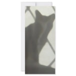 Cat Behind Curtain Rack Card