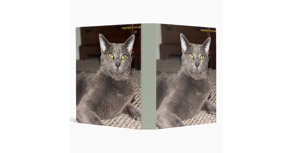 Cat binder Zazzle