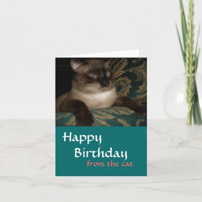 Cat Birthday Card from Zazzle.com