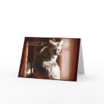Cat Birthday Card