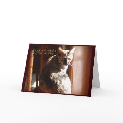 Lolcats+birthday+cards