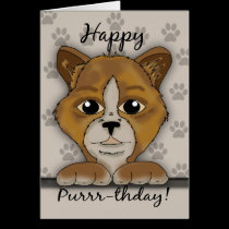 Cat Birthday Card Saying Happy Purrr-thday! cards