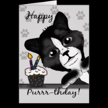 Cat Birthday Card Saying Happy Purrr-thday! cards