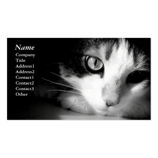 Cat black&white - Business cards