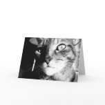 Cat black&white -Greeting / note card