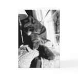 Cat black&white -Greeting / note card