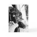 Cat black&white -Greeting / note card by TLWphotography Cat black&white -Greeting / note card