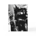 Cat black&white -Greeting / note card