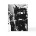 Cat black&white -Greeting / note card