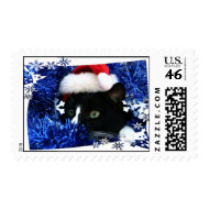 Cat Blue Tinsel Santa Hat Just Head stamp