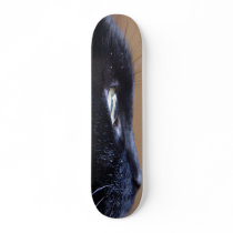 cat board skateboards
