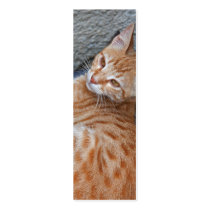Cat Bookmark Business Card Templates